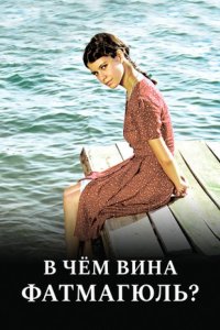 В чем вина Фатмагюль?